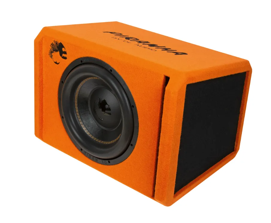 изображение_2023-11-12_205349830