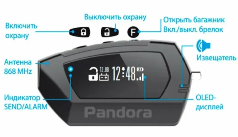 изображение_2025-09-01_184314240