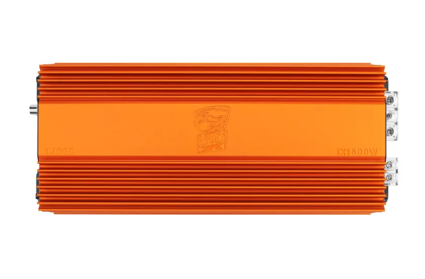 изображение_2025-02-27_003143450