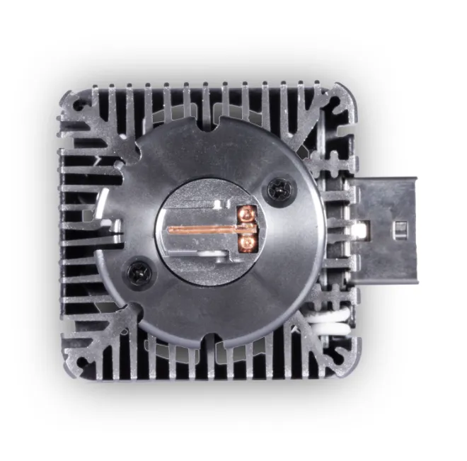 изображение_2024-05-15_060649264 изображение_2024-05-15_060649264