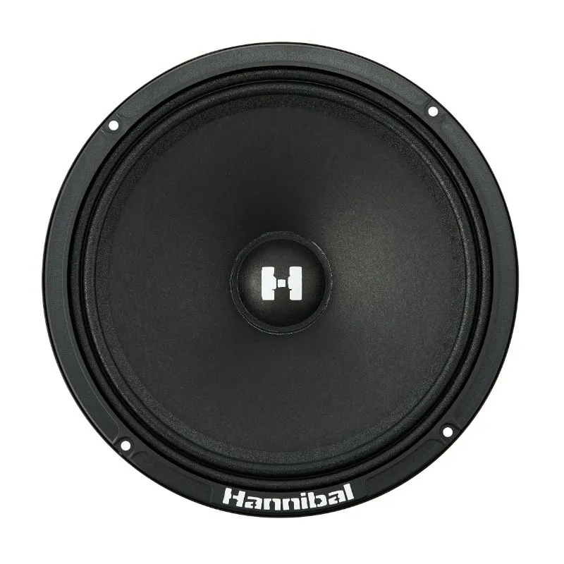 СЧ динамики Deaf Bonce Hannibal HM-8E PRO - фото