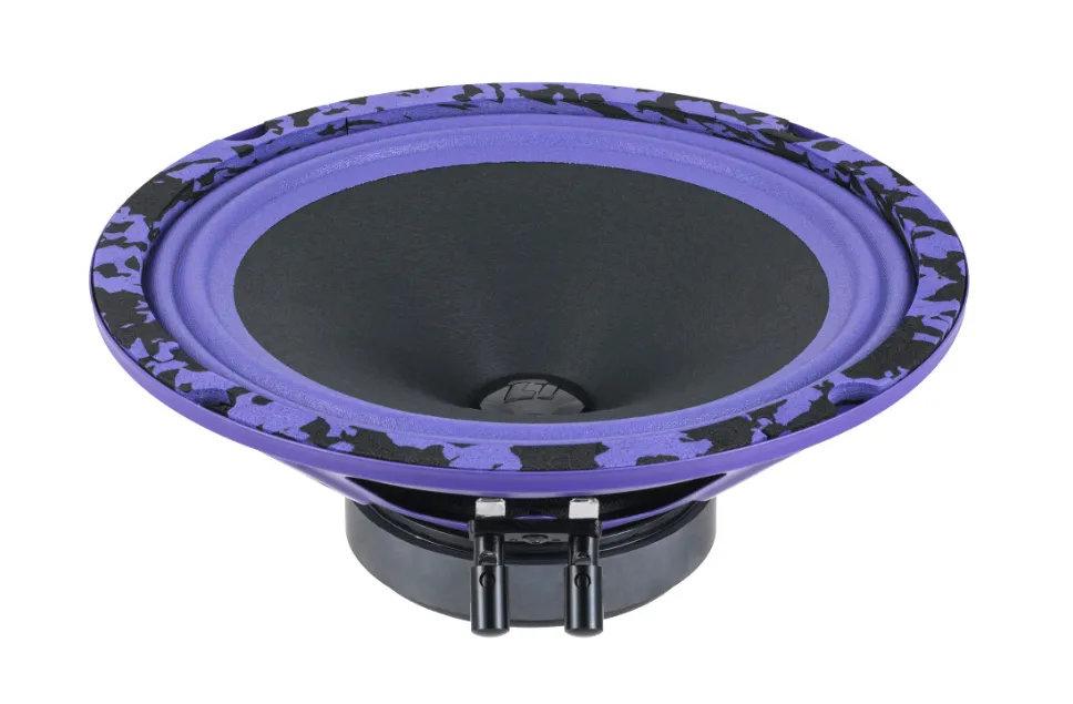 изображение_2023-12-24_085935361