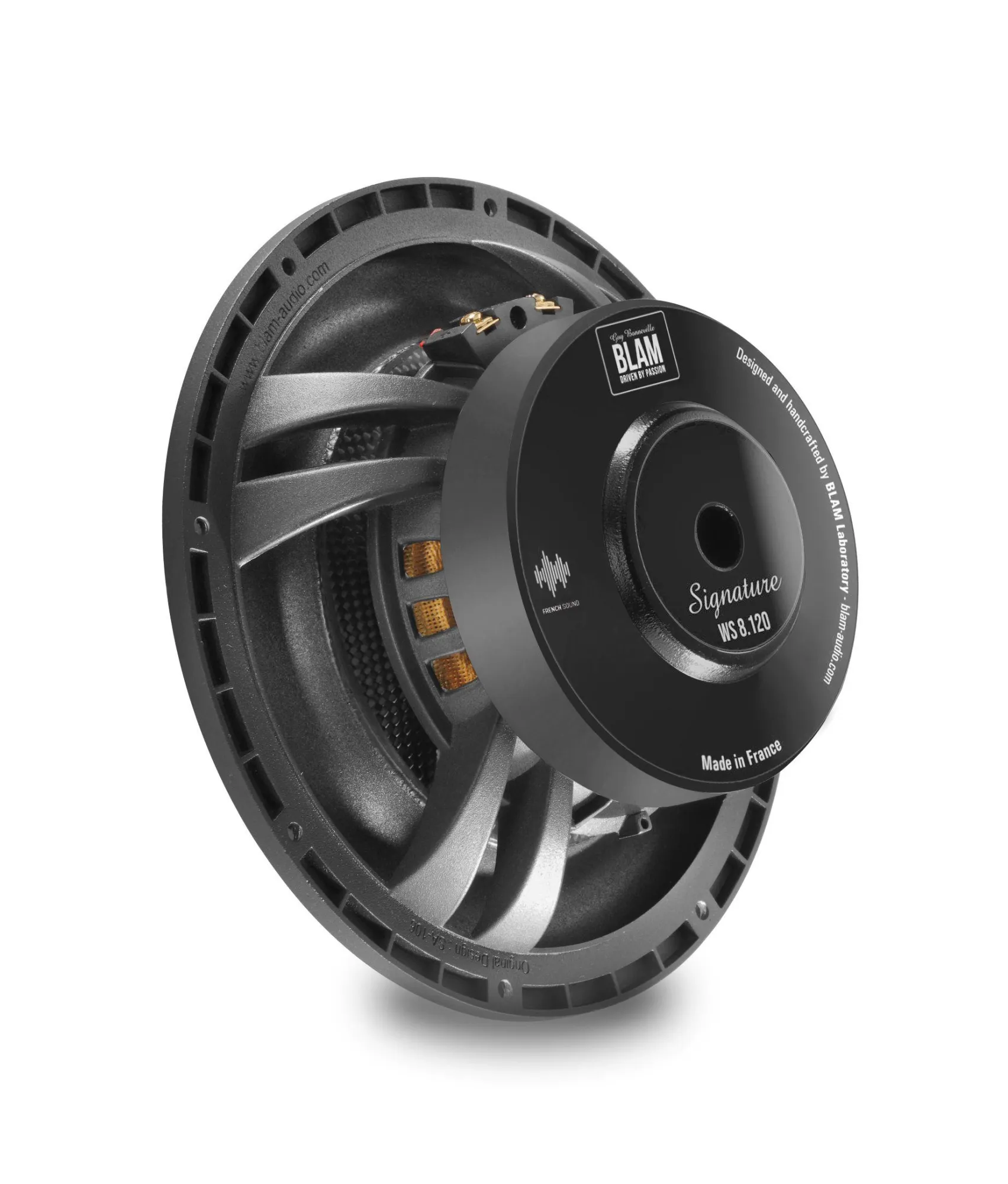 blam-ws8120_id3286_2[1]